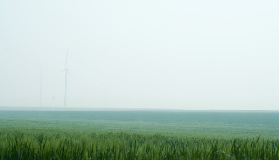 Grøn kornmark med tåget billede af vindmølle i baggrunden